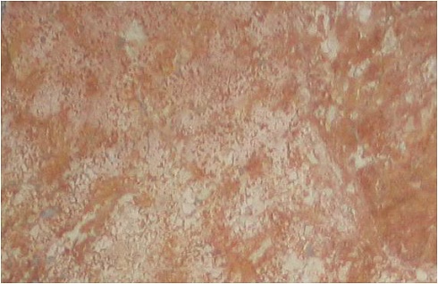 Травертин Рэд